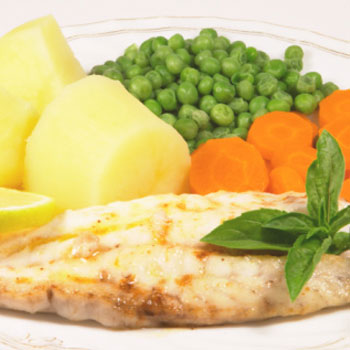 Lemon Grouper