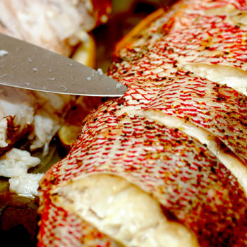 Mexican-Style Snapper Mexican-Style Snapper