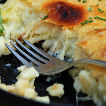 Heart Healthy Macaroni & Cheese – MyDailyMoment