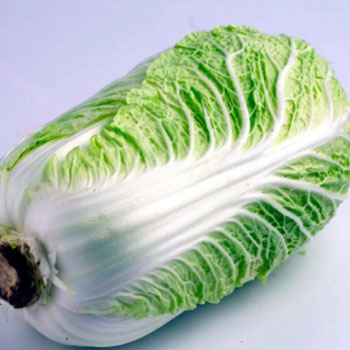 Sauteed Cabbage – MyDailyMoment
