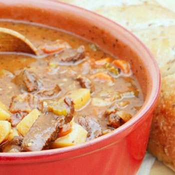 Venison Stew – MyDailyMoment