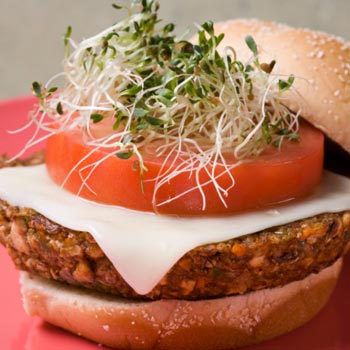 Salmon Burgers – MyDailyMoment