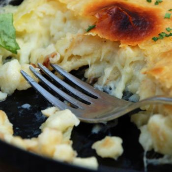 Tomato and Basil Macaroni Cheese – MyDailyMoment